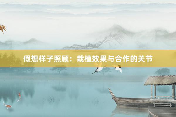 假想样子照顾：栽植效果与合作的关节