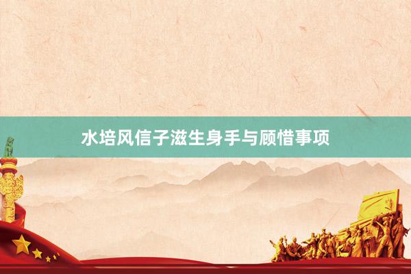 水培风信子滋生身手与顾惜事项