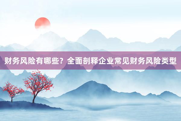财务风险有哪些？全面剖释企业常见财务风险类型