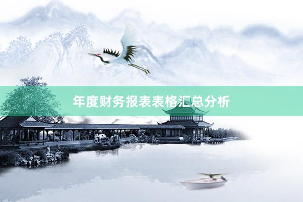 年度财务报表表格汇总分析